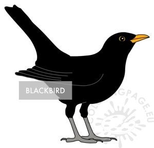 Blackbird vector art printable | Coloring Page