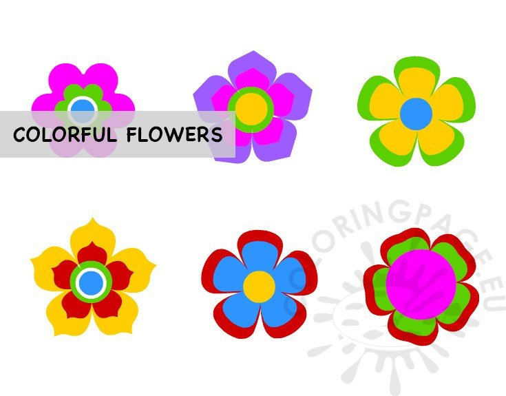 colorful flowers set
