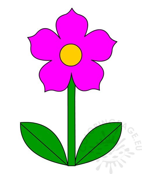 pink flower stem