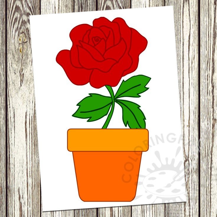 vase rose flower