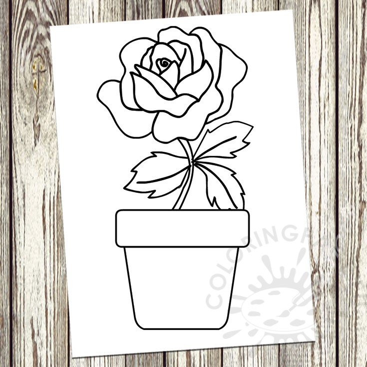 vase rose flower2