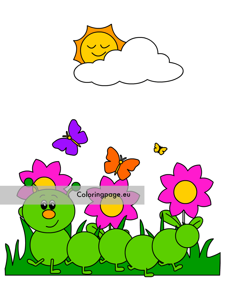 caterpillar flowers2