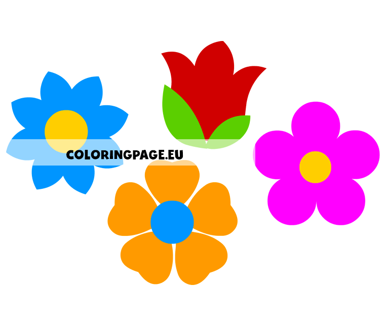 4 colorful flowers
