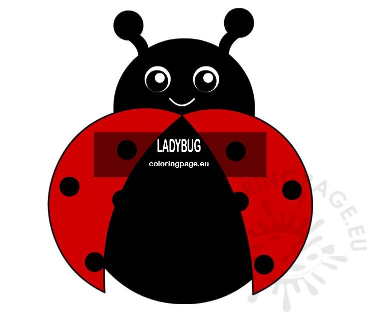 cute ladybug insect