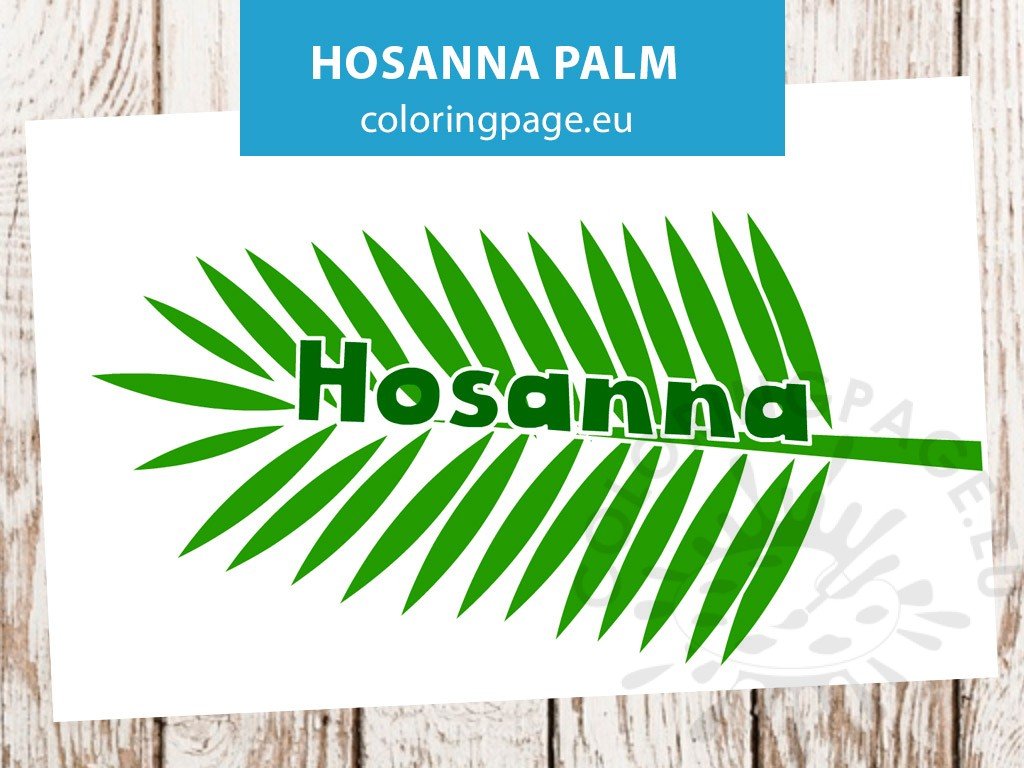 hosanna palm