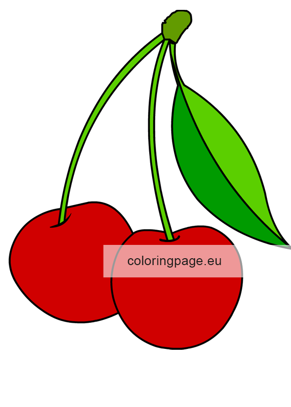 Two red cherries