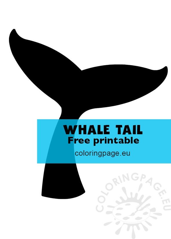black whale tail