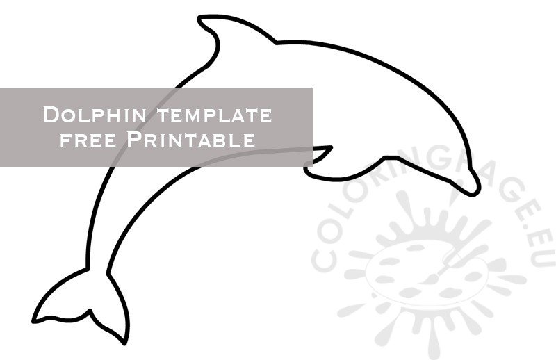 dolphin template