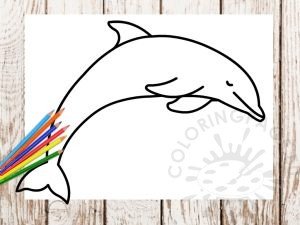 Jumping dolphin