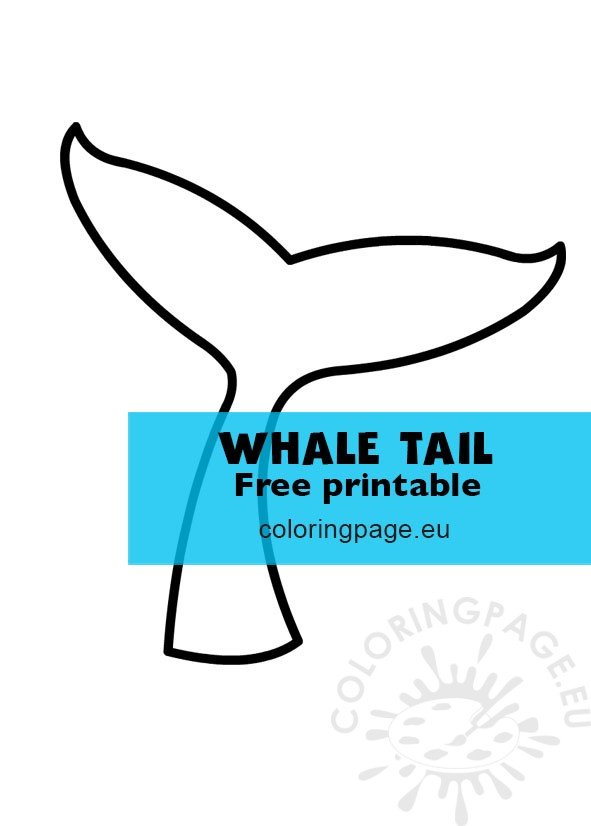 whale tail 22