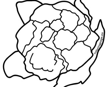 cauliflower1