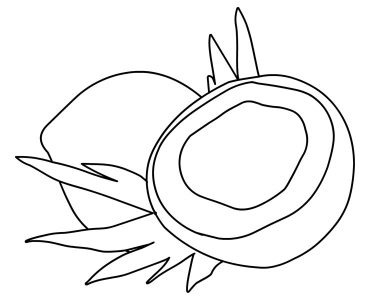 coconut