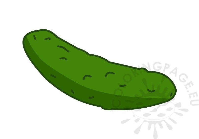 Vegetable Cucumber
