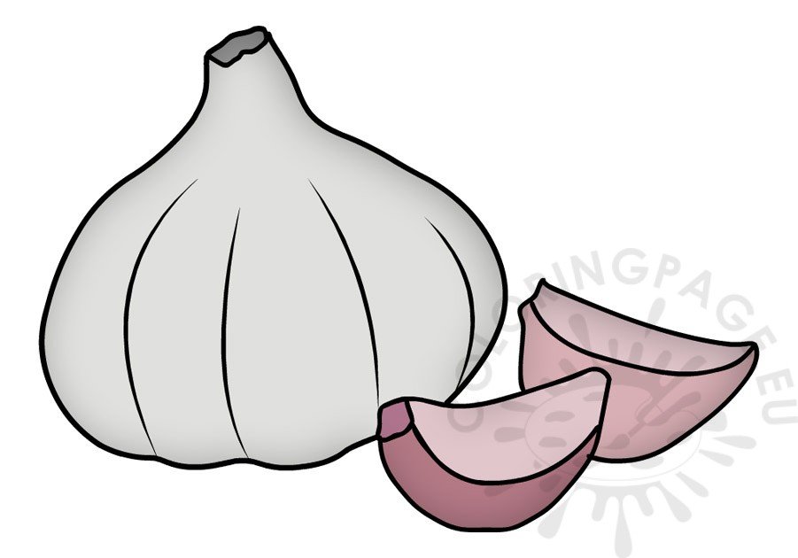 garlic head cloves