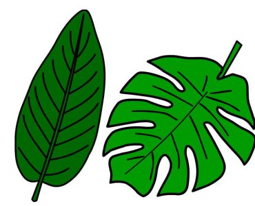 giant green leaves