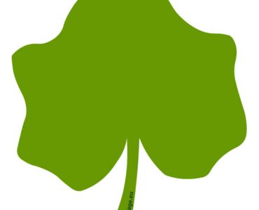green pumpkin leaf
