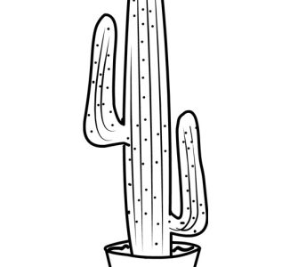 mexican cactus pot