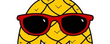 pineapple red sunglasses1