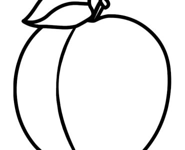 plum fruit