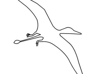 pterodactyl dinosaur outline