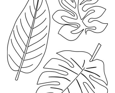 set tropical leaves