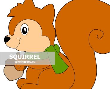 squirrel green scarf