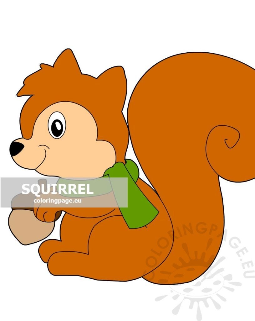 squirrel green scarf