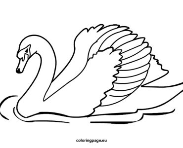 swan