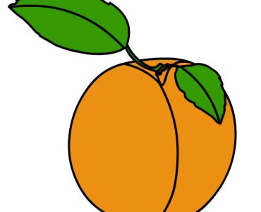 apricot two leaves