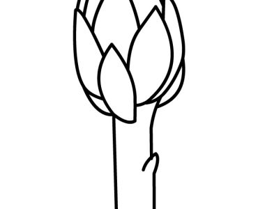 artichoke vegetable coloring