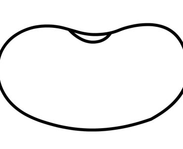 bean