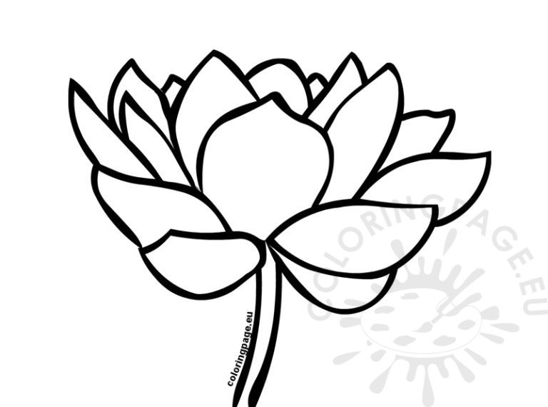 Beautiful Lotus Flower Coloring Page