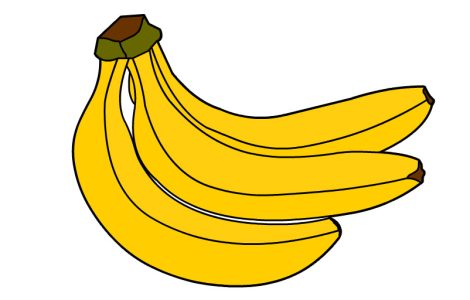 bunch bananas