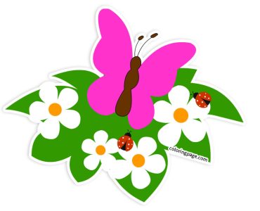 daisies butterfly