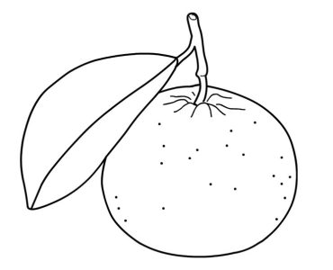 mandarin with leaf