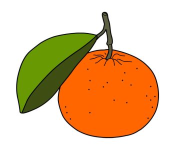 orange mandarin