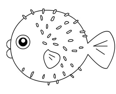 puffer fish
