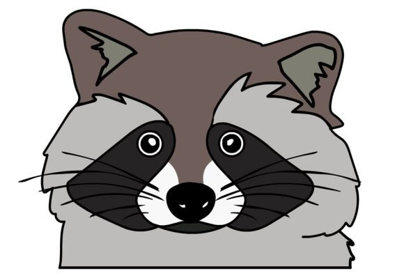 Free printable Raccoon Animal | Coloring Page