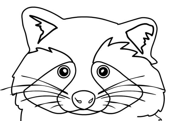 Raccoon face Coloring Page