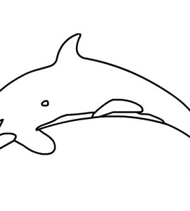 realistic killer whale