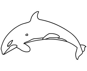 realistic killer whale