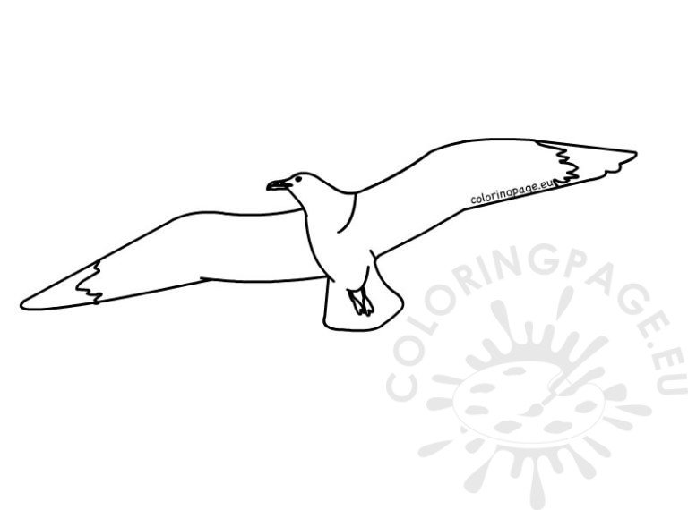 Seagull in flight printable | Coloring Page