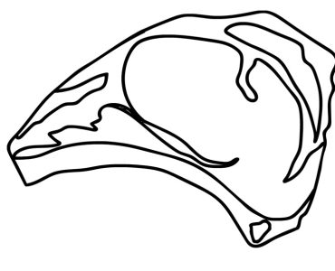 steak