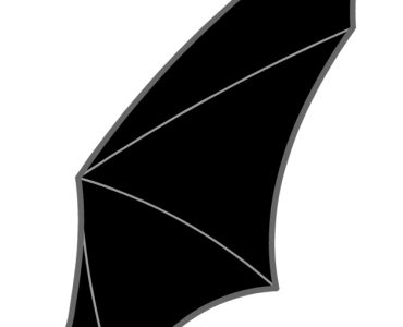 black bat wing