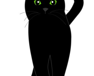 black cat 1