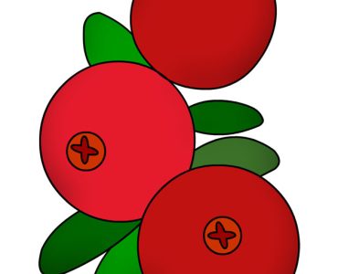 cranberry leaves