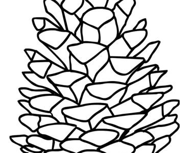 pine cone drawing