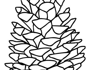 pine cone drawing