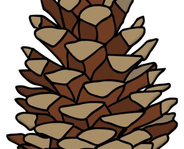 realistic pine cone