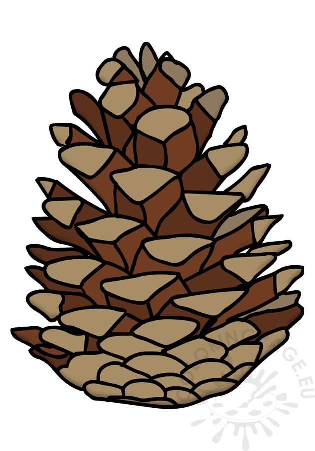 realistic pine cone